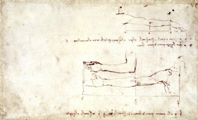 Arm by Leonardo da Vinci